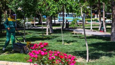 اتاقهای فرهنگی در دل بوستانهای قم ایجاد میشود