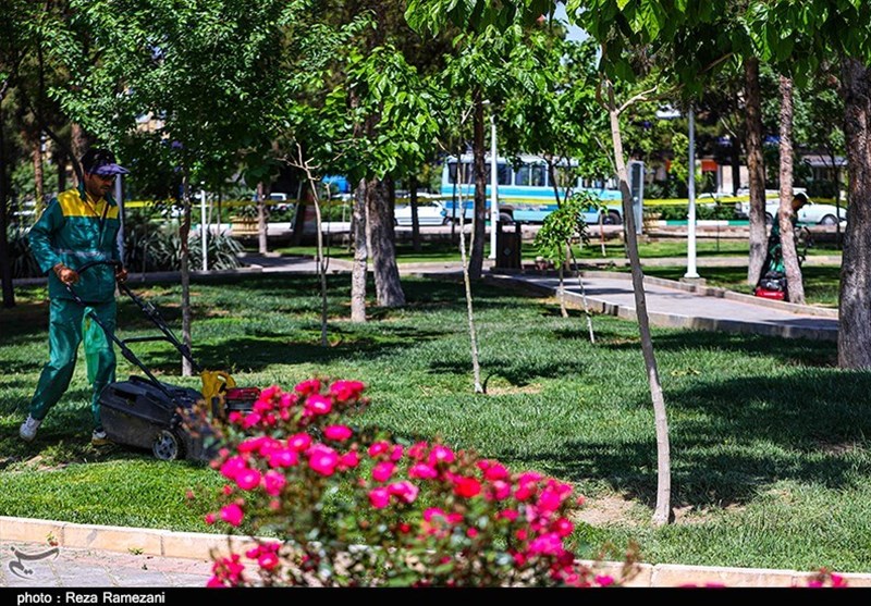 اتاقهای فرهنگی در دل بوستانهای قم ایجاد میشود