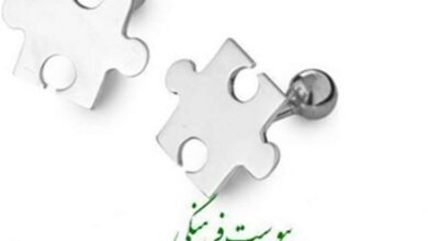 اجرای پروژههای شهری بدون پیوست فرهنگی و اجتماعی ابتر است