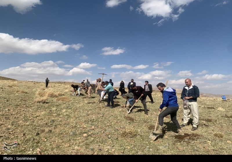 احیای 100 هکتار از مراتع شهرستان بویراحمد+تصاویر