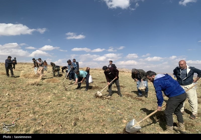 سازمان منابع طبیعی ,