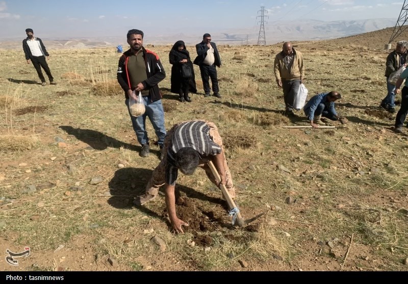 سازمان منابع طبیعی ,