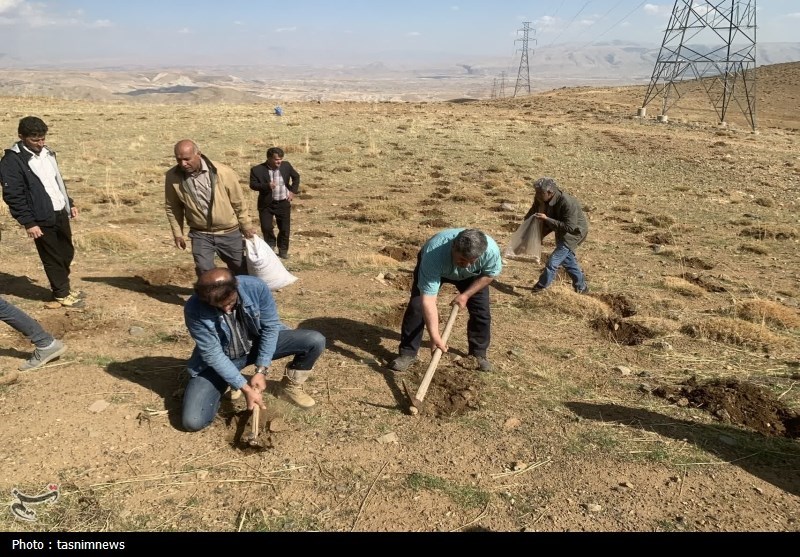 سازمان منابع طبیعی ,