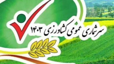 ادامه سرشماری کشاورزی در ایلام/برخی کشاورزان همکاری نمیکنند