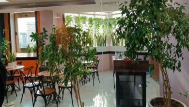 ارائه 80 خدمت جدید در کتابخانههای عمومی زنجان