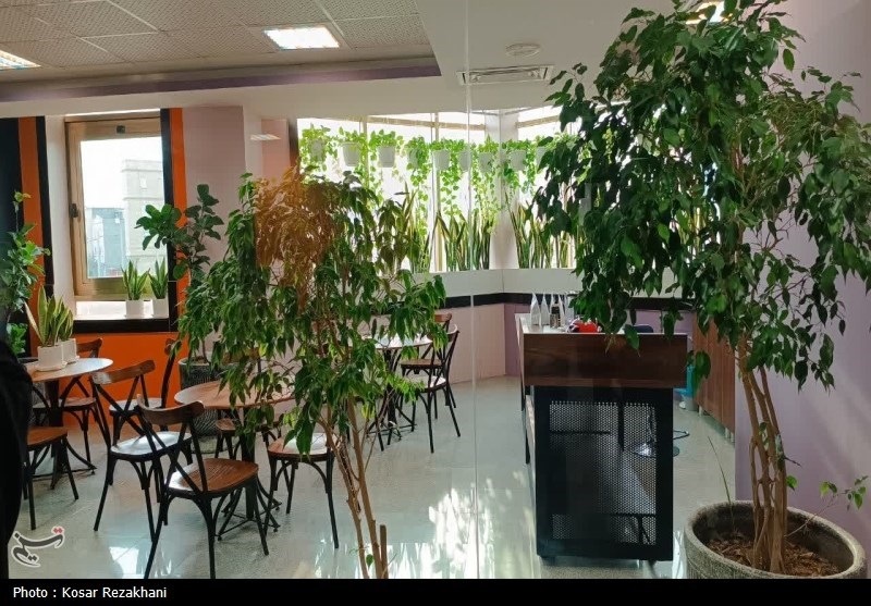 ارائه 80 خدمت جدید در کتابخانههای عمومی زنجان