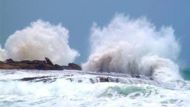 ارتفاع موج خلیج فارس در سواحل بوشهر به 3 متر رسید