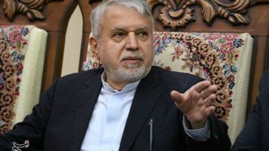 ارگ شیراز با توسعه جدید به سمت ثبت جهانی حرکت میکند