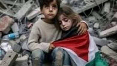 از رکابزنی تا گلیمبافی به یاد مظلومان غزه و لبنان + فیلم