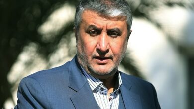 اسلامی: برنامه هستهای ایران شفاف و تحت نظر آژانس است