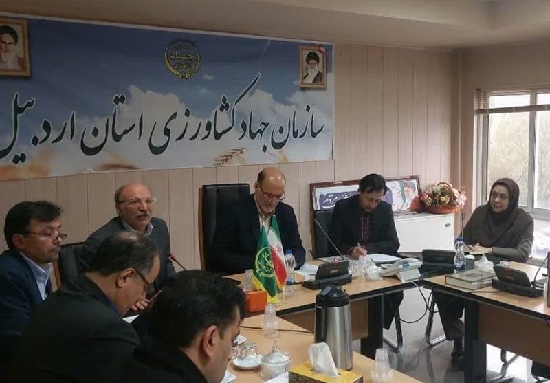 اعتبارات صندوق بیمه کشاورزی جوابگوی خسارتها نیست