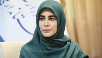 اقتصاد هنر با پروژههای جدید شبکههای شهری پیگیری میشود