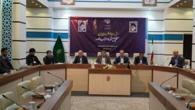 اهمیت هوش مصنوعی از زبان عضو شورای عالی فضای مجازی