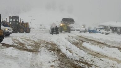 بارش برف 4ایستگاه هواشناسی مازندران را سفیدپوش کرد