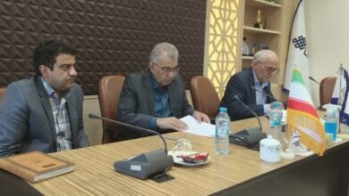 بررسی علمی چالشهای پیش روی تولید، فرآوری و بازار زعفران