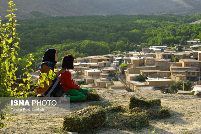 تاکید بر اهمیت اشتغال در روستاها