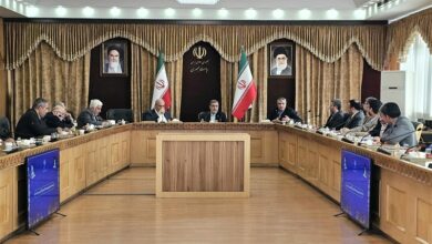 تاکید رضایی بر لزوم متنوعسازی سبد انرژی کشور