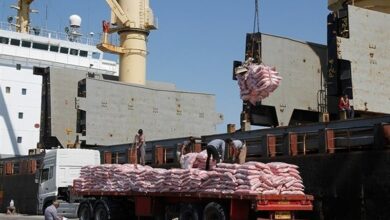 _تخلیه_ _10_ _هزار_ _تن_ _برنج_ _وارداتی_ _در_ _بندر_ _بوشهر_