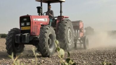 تدابیر لازم برای کشت پائیزه در خراسان شمالی اندیشیده شد