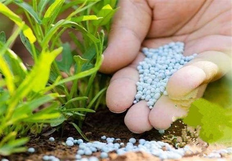 توزیع 100 هزار تن کود بین کشاورزان لرستان