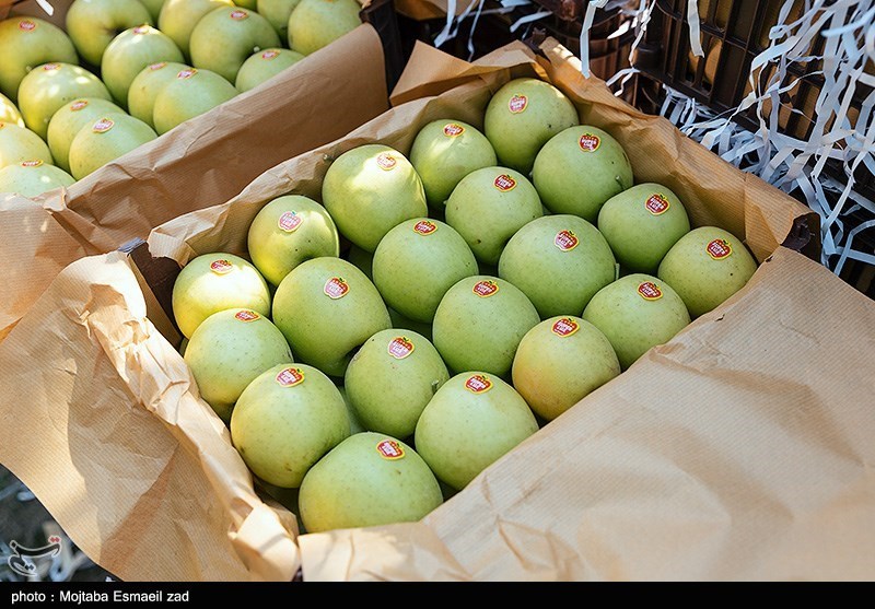 تولید 40 هزار تن سیب در بروجرد