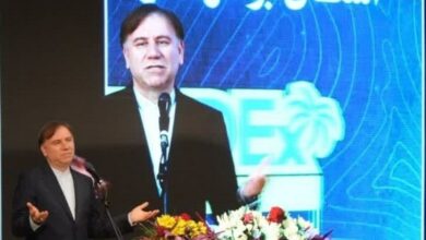 تکمیل حلقههای مفقوده محصول خرما در استان بوشهر