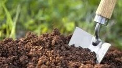 تکمیل مطالعات تفصیلی خاکشناسی در اراضی زهدار مغان