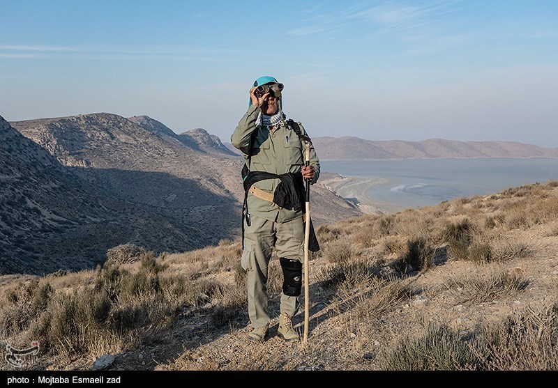 جزئیات سرشماری پستانداران در کردستان/تصرف زیستگاهها