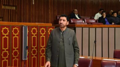 جنایت «پاراچنار» ربطی به شیعه و سنی ندارد