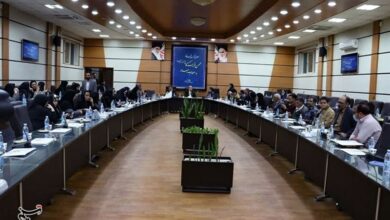 حاشیههای نشست خبری شهردار کرمان