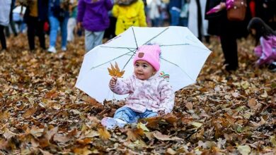 حال خوش همدانیها در یک روز پاییزی/ گزارش تسنیم را ببینید