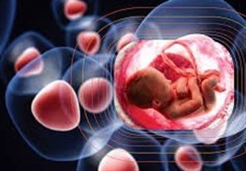 دانش سلولهای بنیادی در کشور بومیسازی شد