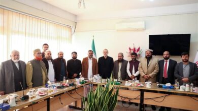 دیدار اعضای حزب جماعت اسلامی پاکستان با لاریجانی