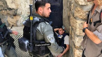 ذخیره بر باد رفته؛گاو مقدس چگونه جامعه صهیونیستی را نابود میکند؟