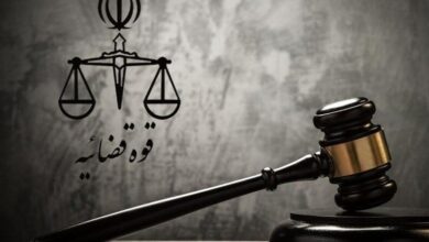 رسیدگی به 3 هزار و 228 پرونده تخلفاتی در تعزیرات فارس