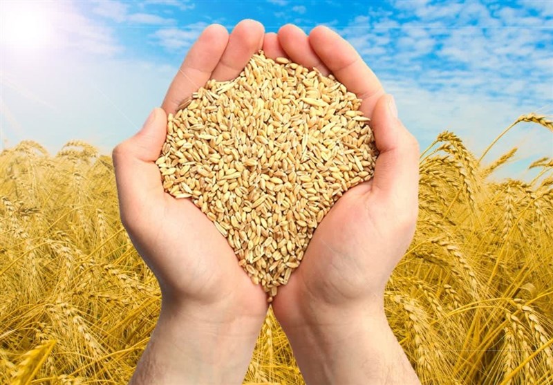 رشد 31 درصدی جمعآوری زکات در خراسان جنوبی