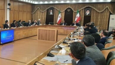 رضایی:باید قانون جامعی بجای مصوبه مولدسازی به مجلس ارائه شود