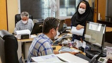 رویکرد دولت در قبال کارمندان حمایتی است/ در حال تنظیم برنامههایی هستیم