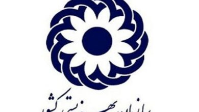 سالانه 67 هزار تصادف جادهای به معلولیت منجر میشود