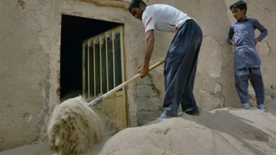 شرایط بحرانی سیستان با ریزگردها/ استمداد مردم از پزشکیان!