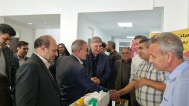 شرکتهای دانش بنیان حمایت میشوند