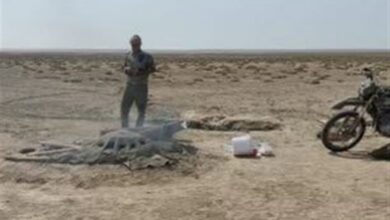 شناسایی و تخریب 300 دام زندهگیری پرندگان در بوشهر