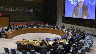 شورای امنیت خواستار رأیگیری در مورد آتشبس در غزه شد