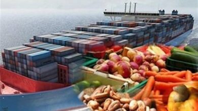 صادرات کهگیلویه و بویراحمد به 60 میلیون دلار میرسد