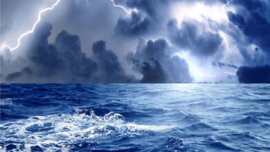 صدور هشدار زرد برای دریای عمان/ افزایش ارتفاع موج