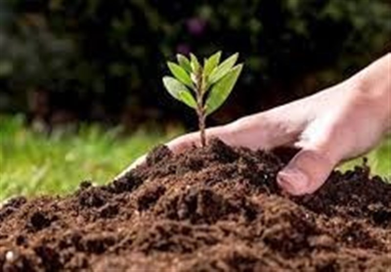 طرحهای امنیت غذایی در استان بوشهر تدوین و عملیاتی شد