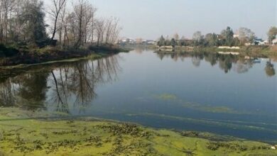 طرحهای گردشگری بر اساس کاهش تهدیدات تعریف شود