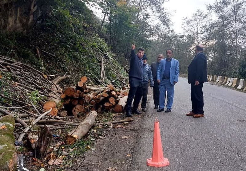 قطع درختان جاده جایگزین سد مخزنی پلرود رودسر با مجوز است