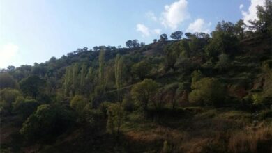 مجموعه گردشگری یاسوج یکسال پس از کلنگزنی؛ هنوز در نقطه صفر!