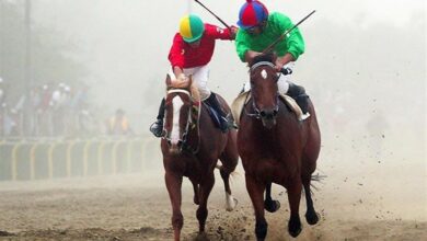 مدالهای رنگارنگ سوارکاران زنجانی در مسابقات قهرمانی کشور